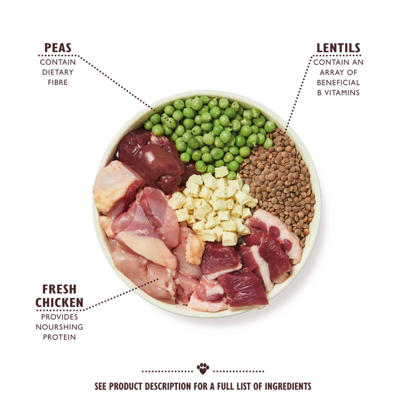 Lily's Kitchen Countryside Casserole with Chicken, Duck & Sweet Potatoes Adult Dry Dog Food