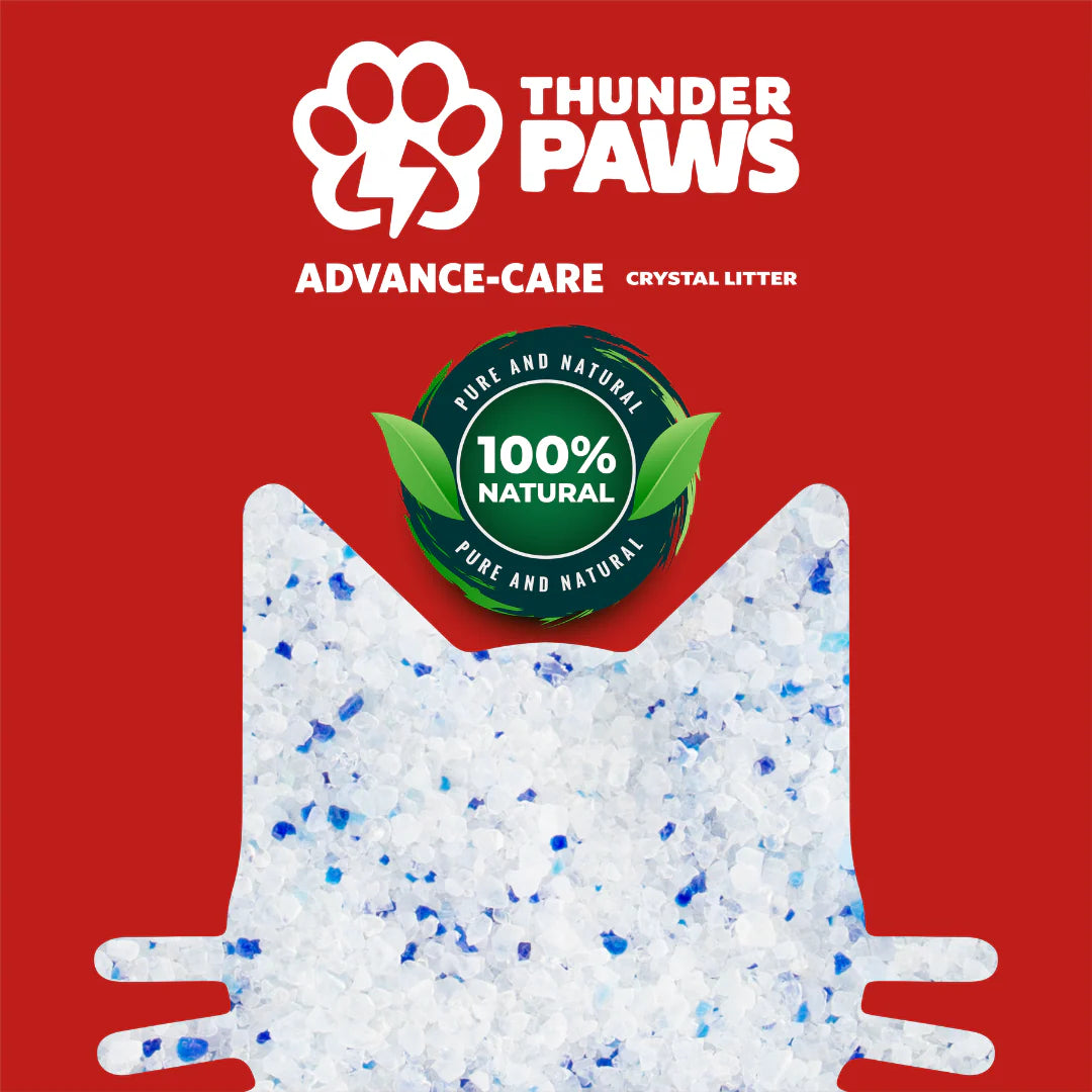 Thunder Paws Advance Care Non-Clumping Crystal Unscented Cat Litter 5+1 Liter FREE