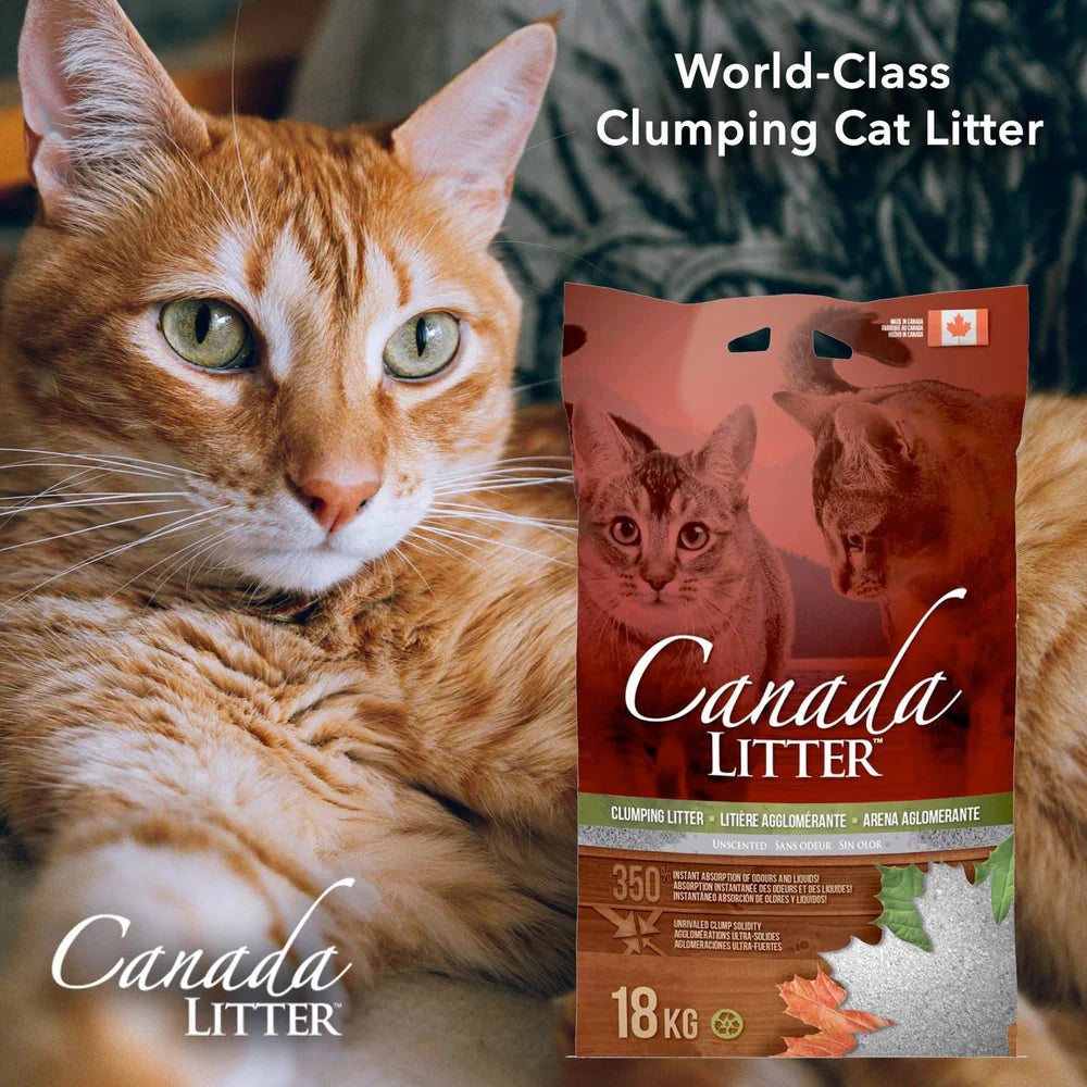Canada LITTER Unscented Clumping Cat Litter
