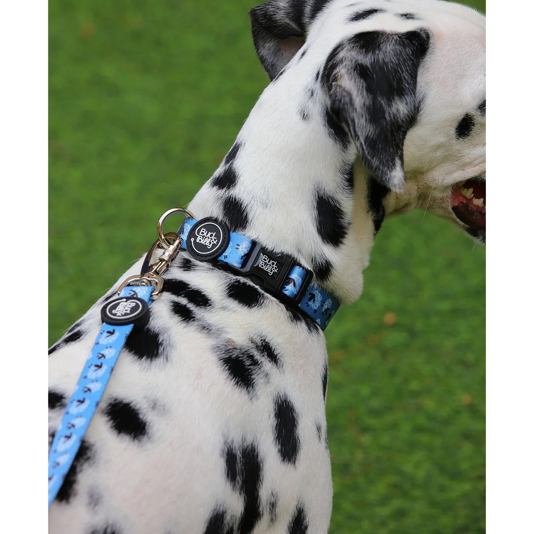Bud & Billy Dog Collar (XXS-XL) - Counting Sheep Collection, Blue & White