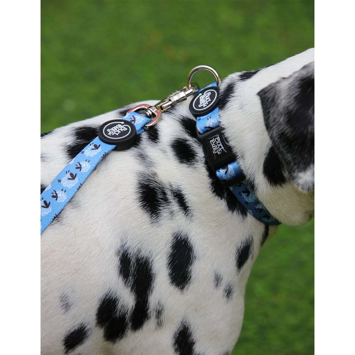 Bud & Billy Dog Collar (XXS-XL) - Counting Sheep Collection, Blue & White