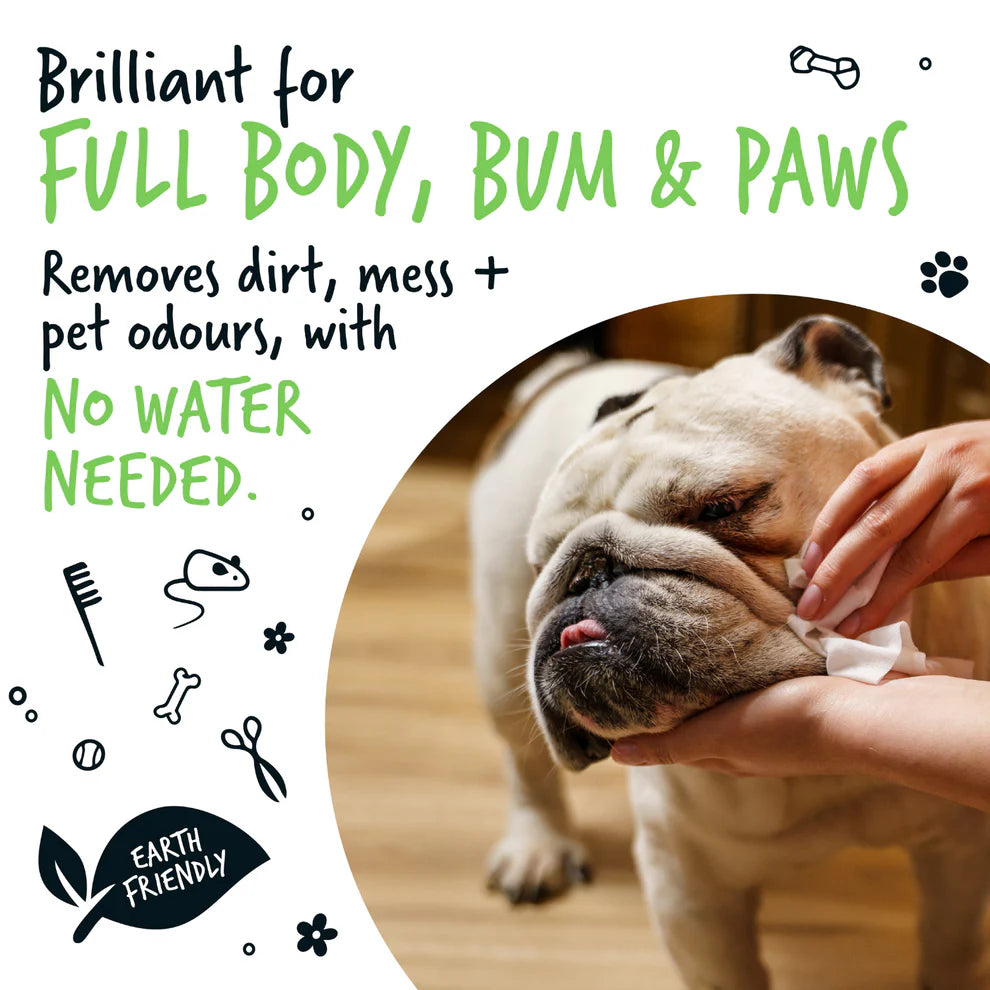 Bugalugs Fragrance Free Biodegradable Dog Wipes 110 WIPES