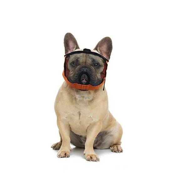 Chadog Diffusion Brachycephalic Muzzle for Dogs