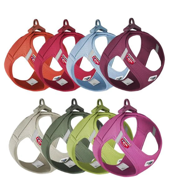 Curli Air-Mesh Vest Harness With Curli Clasp For Dogs