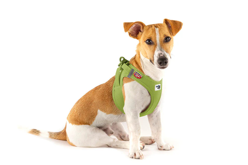Curli Air-Mesh Vest Harness With Curli Clasp For Dogs