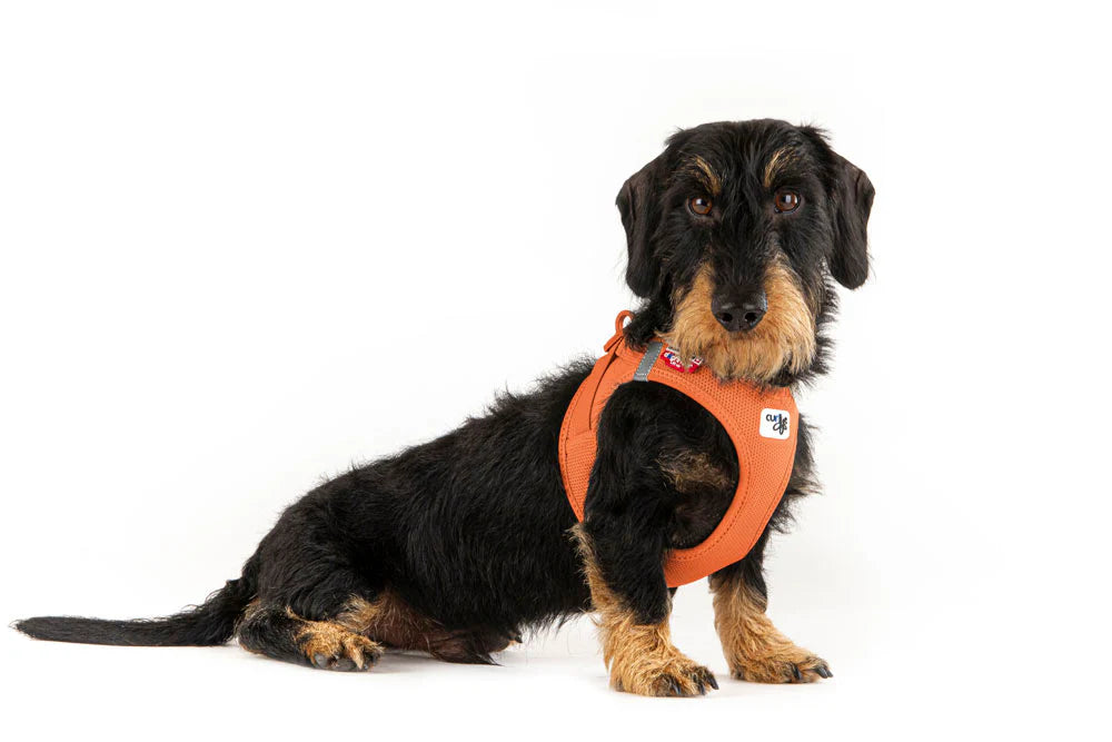 Curli Air-Mesh Vest Harness With Curli Clasp For Dogs
