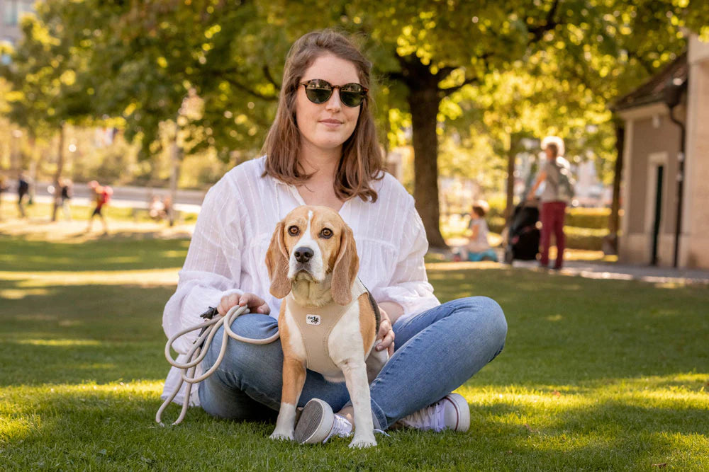 Curli Air-Mesh Vest Harness With Curli Clasp For Dogs