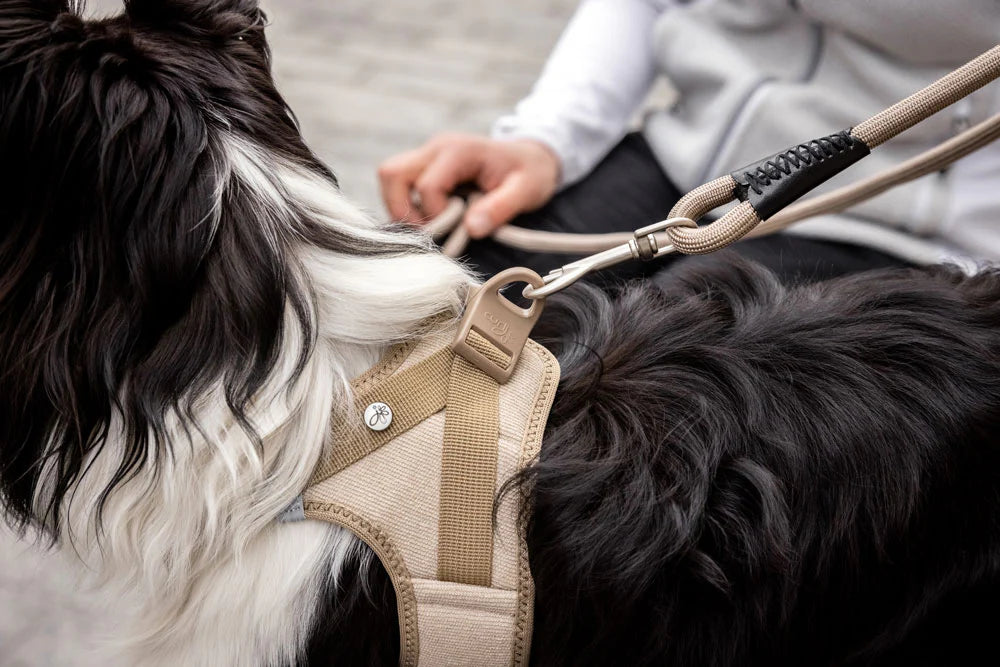 Curli Cord Vest Harness With Curli Clasp for Dogs