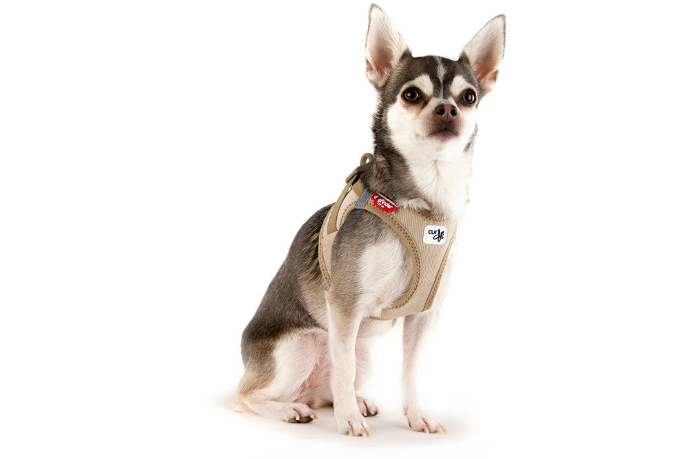 Curli Cord Vest Harness With Curli Clasp for Dogs