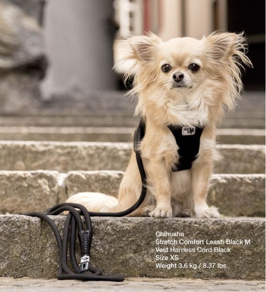 Curli Stretch Comfort Leash for Dogs
