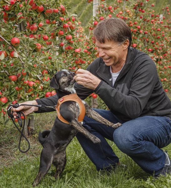 Curli Vegan Leather Harness for Dogs