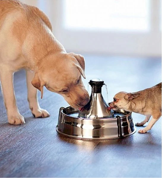 Drinkwell 360 Stainless Steel Fountain for Dogs & Cats