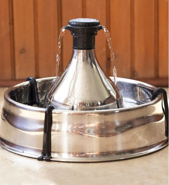 Drinkwell 360 Stainless Steel Fountain for Dogs & Cats