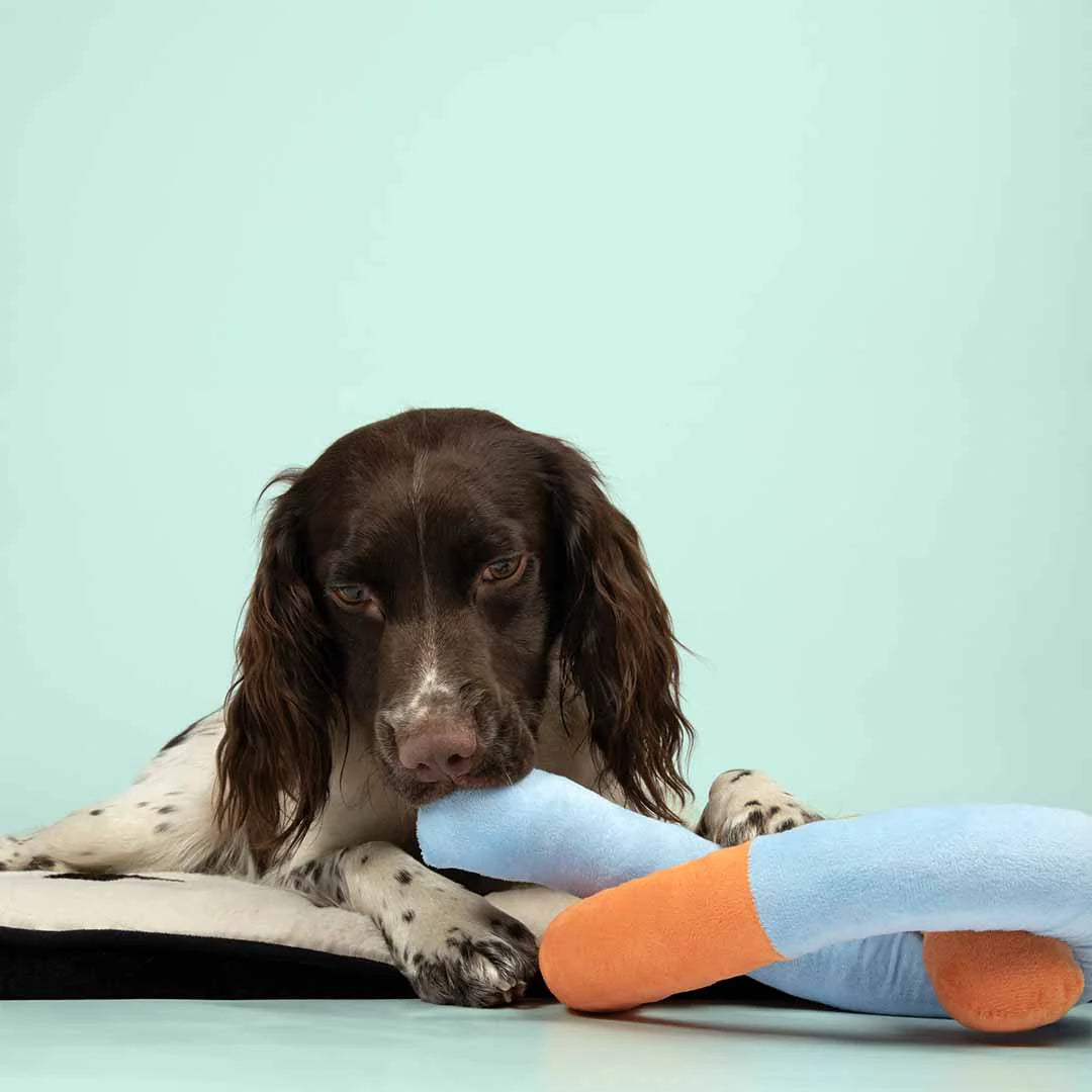 Ebi Coockoo Snuggle Snake Plush Dog Toy - Pink & Green