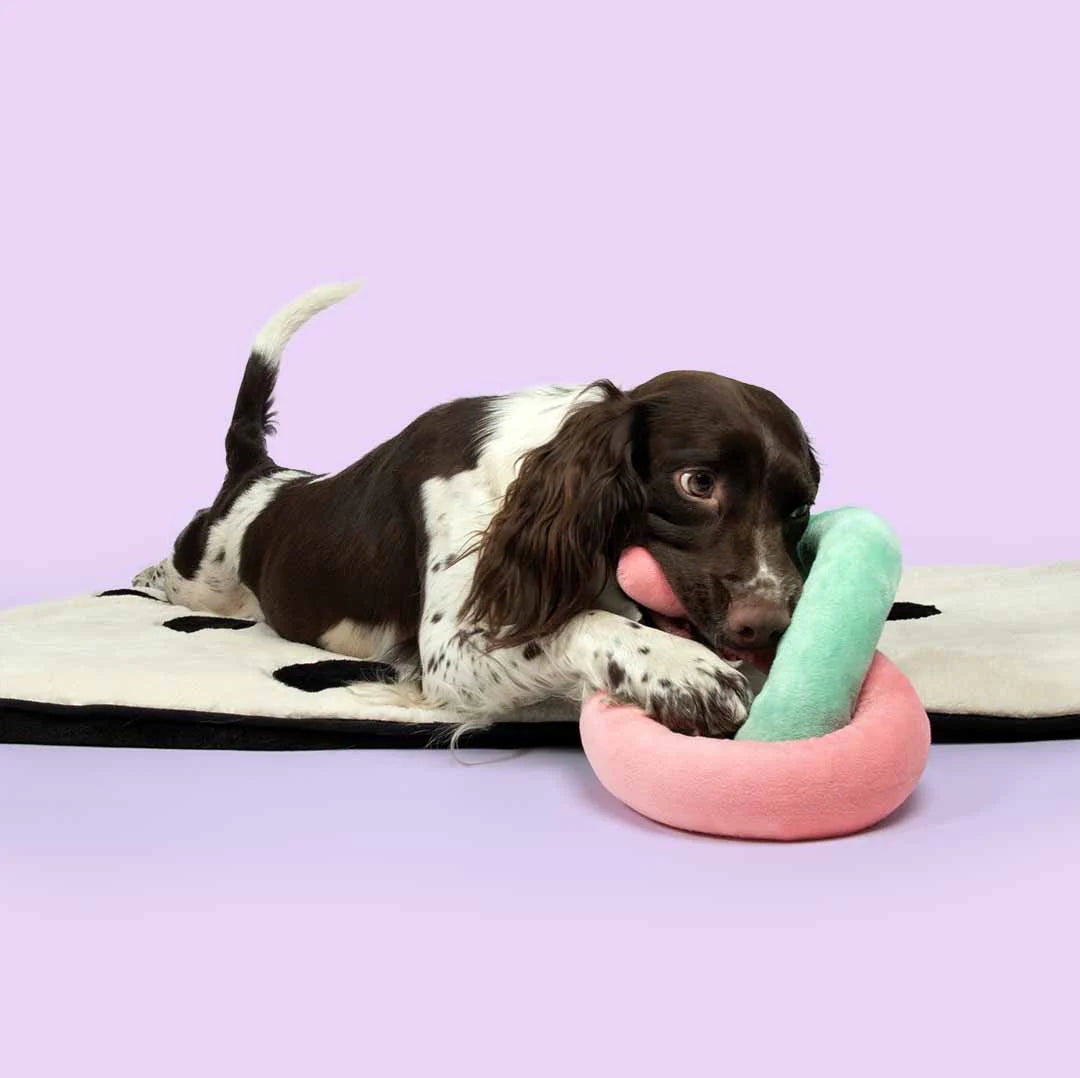 Ebi Coockoo Snuggle Snake Plush Dog Toy - Pink & Green