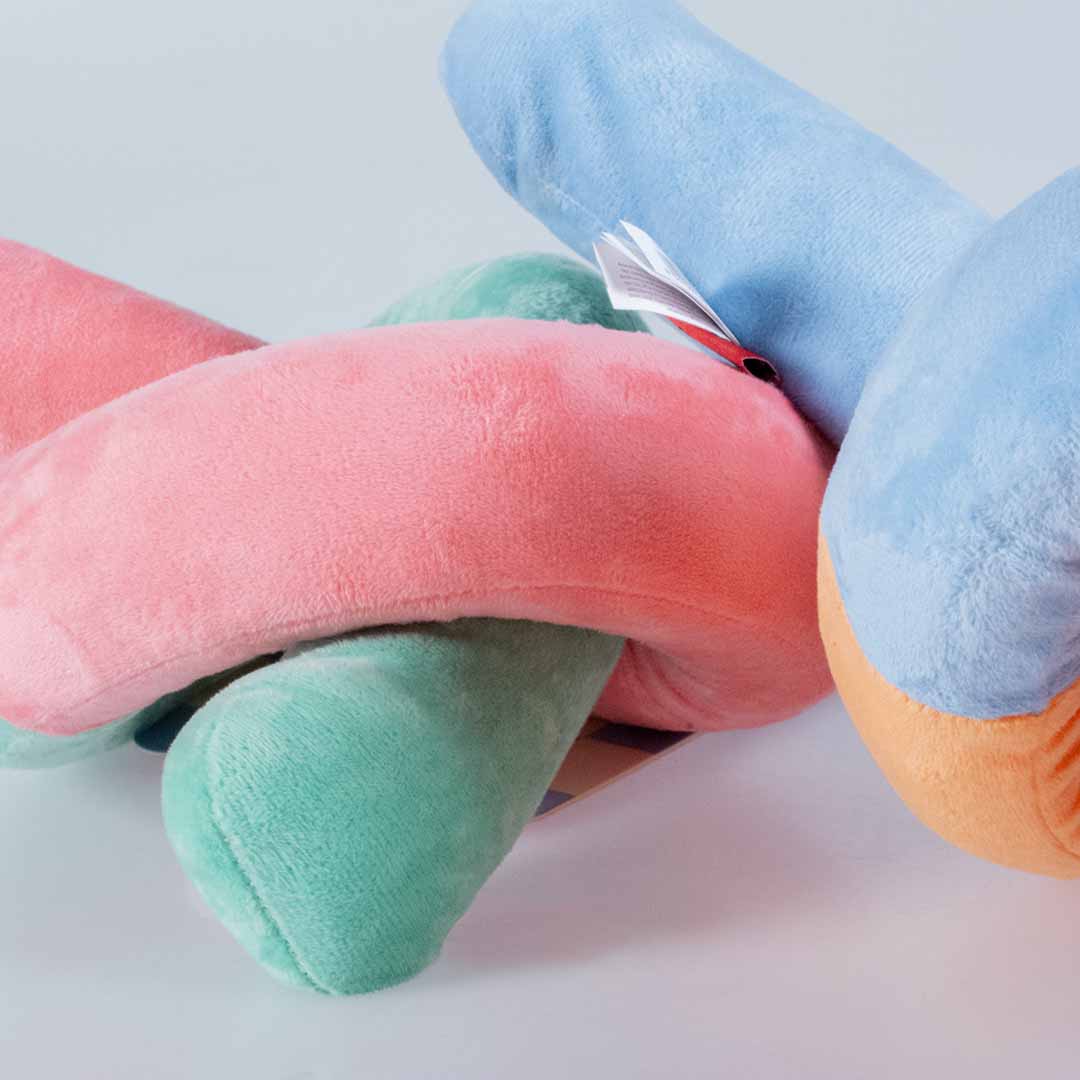 Ebi Coockoo Snuggle Snake Plush Dog Toy - Pink & Green