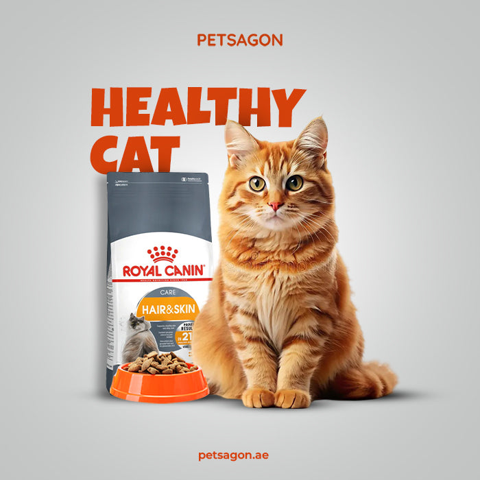 lookbook image shop_this_look_AVdw3f