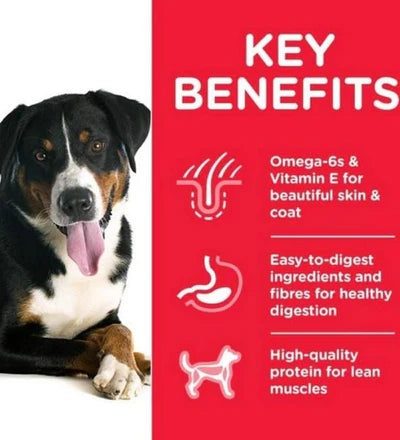 Hill's Science Plan Medium Adult Dog Food