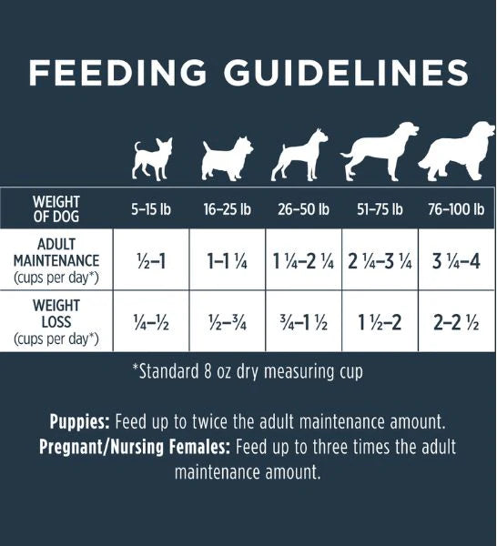 Instinct Raw Boost Kibble Beef Dry Dog Food
