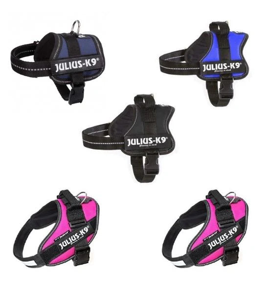 Julius-K9 Power Harness for Dogs
