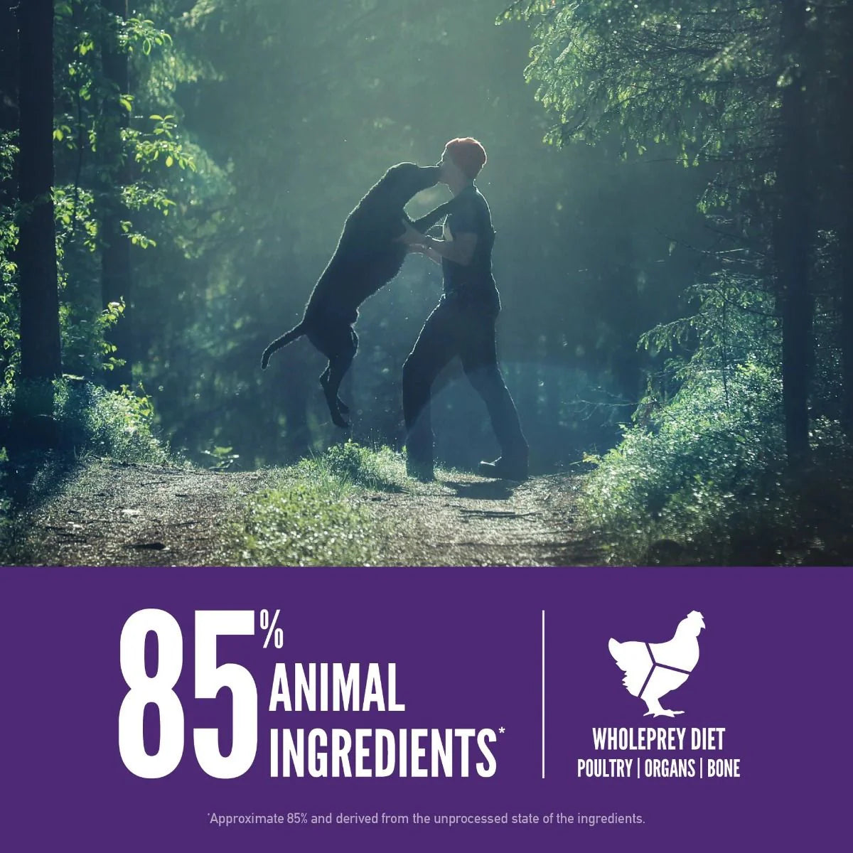 Orijen Large Breed Adult Dry Dog Food 11.4KG