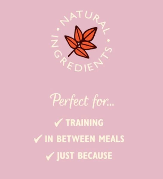 Lily's Kitchen Chicken and Salmon Nibbles Puppy Treats 70G