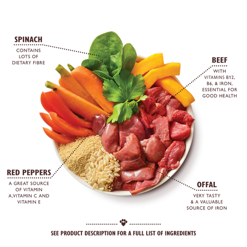 Lily's Kitchen Dog Beef Goulash Wet Food