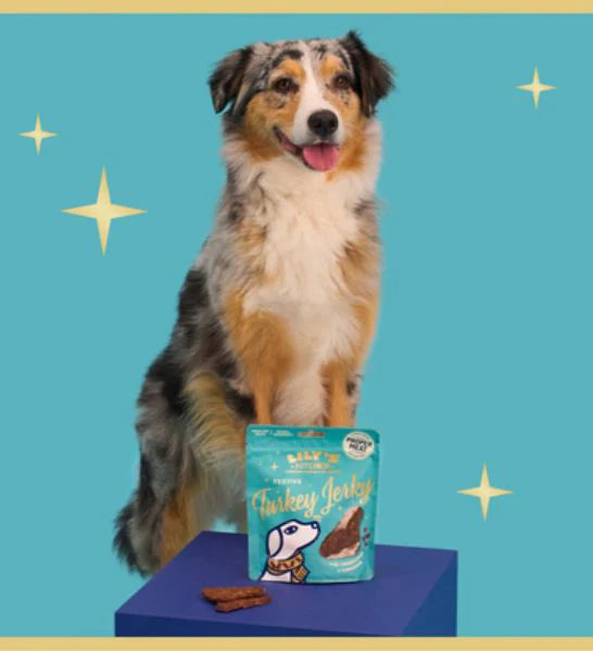 Lily's Kitchen Festive Christmas Turkey Jerky Dog Treats 70G