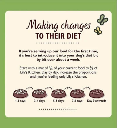 Lily's Kitchen Chicken & Turkey Casserole Wet Dog Food