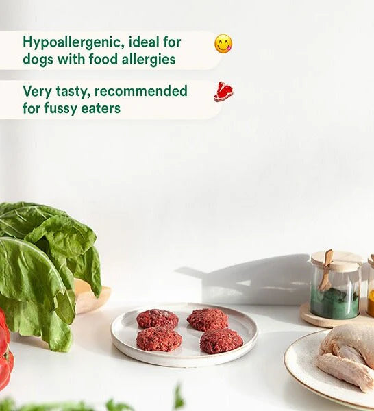 Wild Balance Complete BARF Menu Duck Raw Food for Dogs 1KG