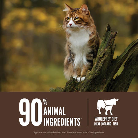 Orijen Regional Red Dry Cat Food