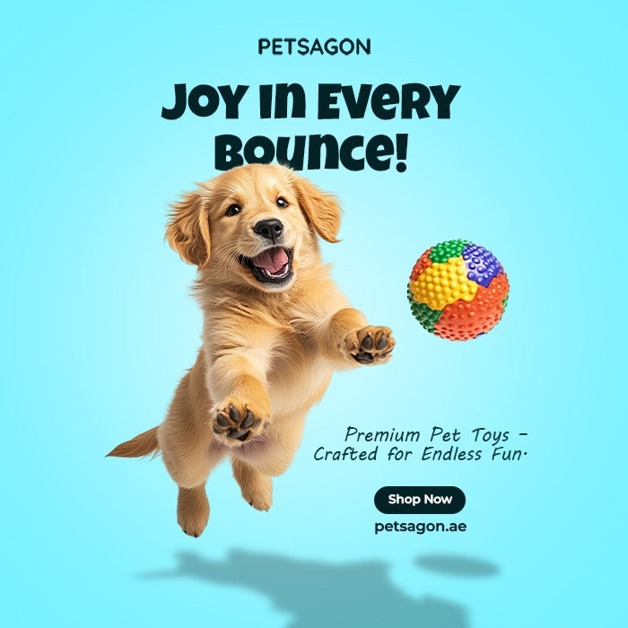 lookbook image shop_this_look_amDhCa