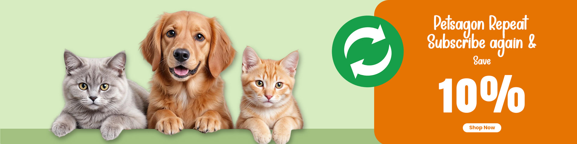 slider image 1621243260e1af0c20-2