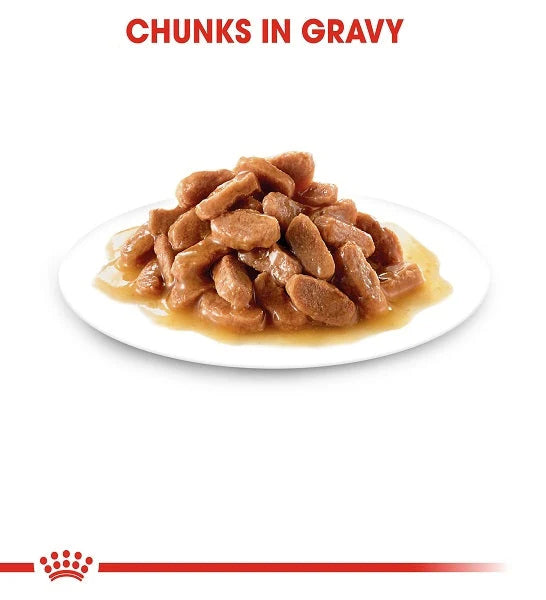 Royal Canin Kitten Instinctive In Gravy Wet Food 85G - Pack of 12