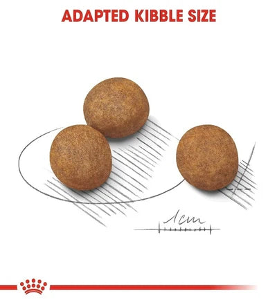 Royal Canin Maxi Puppy Dry Food