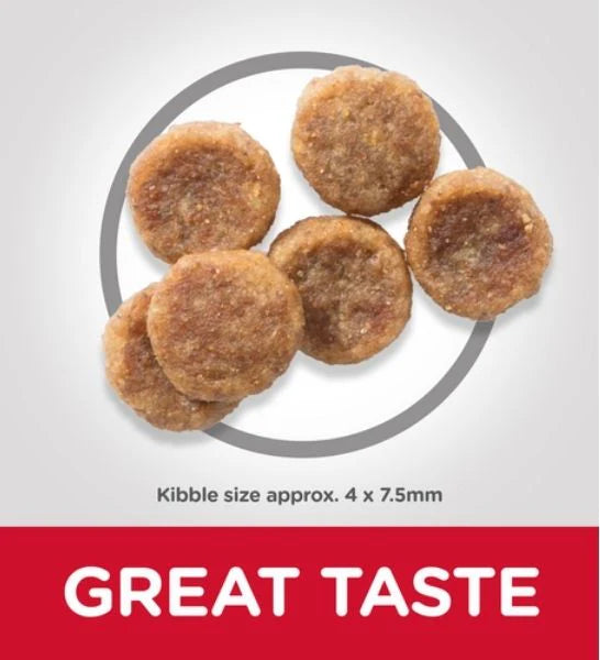 Hill's Science Plan Small & Mini Adult Chicken Dry Dog Food