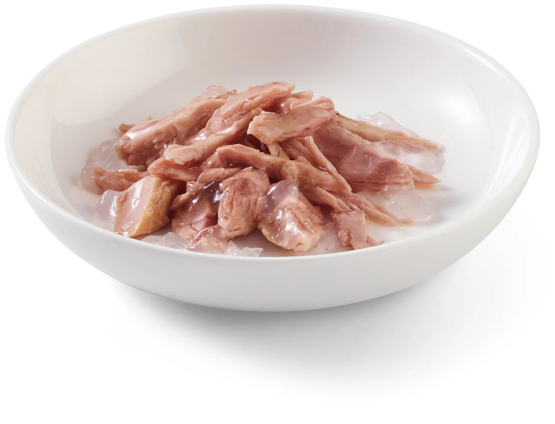 Schesir Complete Nutrition Tuna in Jelly Wet Cat Food 85G