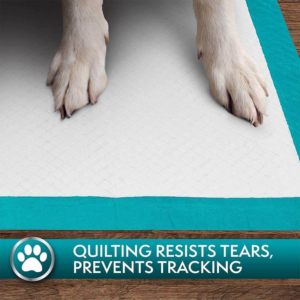 Simple Solution Puppy Training Pad 100pcs