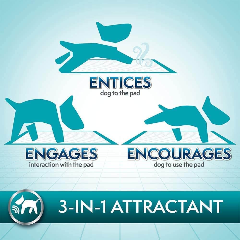 Simple Solution Puppy Training Pad 100pcs