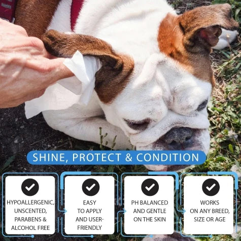 Thunder Paws Unscented Sanitary Pet Wipes Suitable for Cats and Dogs