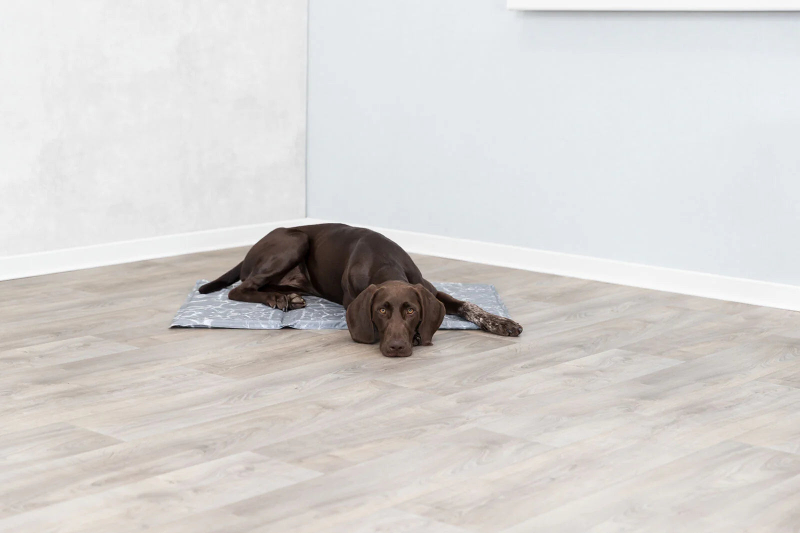 Trixie Soft Cooling Mat