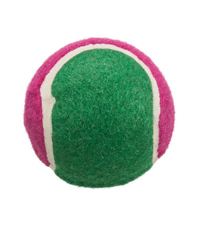 Trixie Tennis Ball Fetch & Catch Toy for Dogs