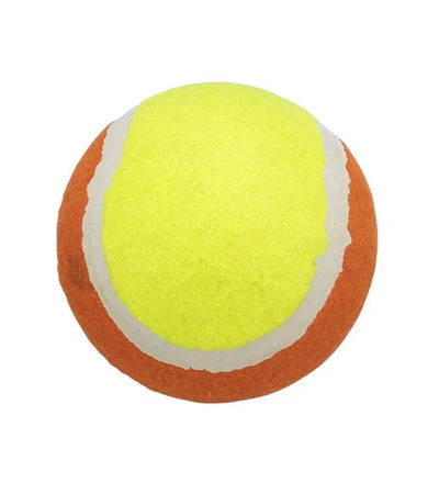 Trixie Tennis Ball Fetch & Catch Toy for Dogs