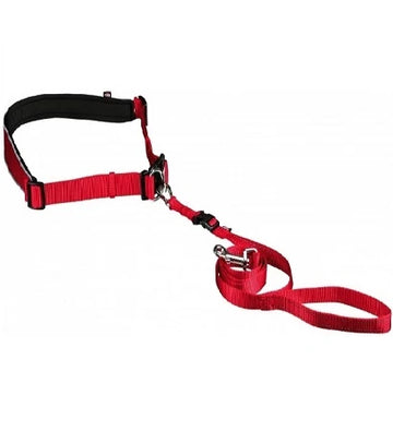 Trixie Waist Belt with Leash for Dogs