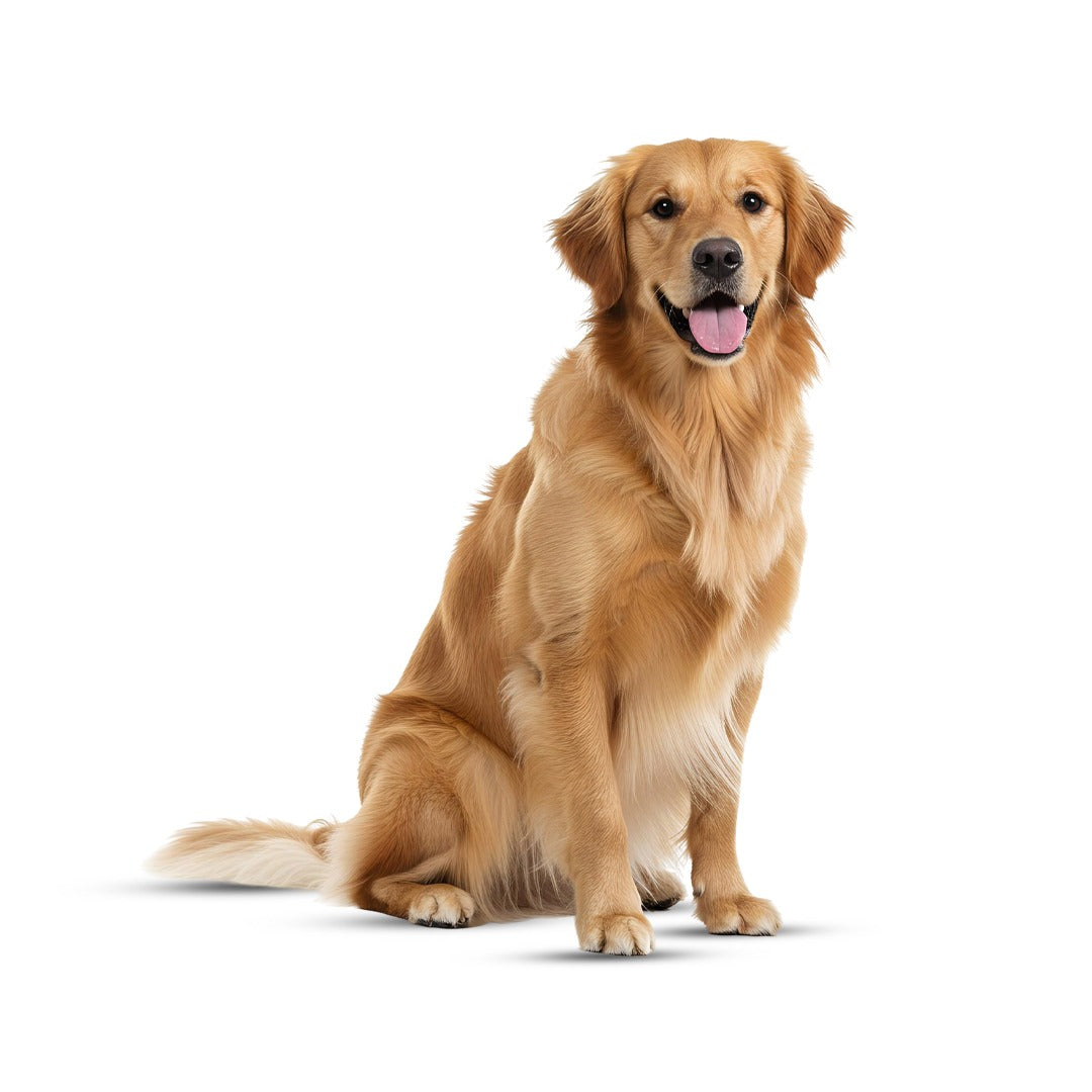 image comparison after