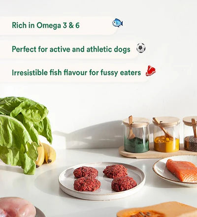 Wild Balance Complete BARF Menu Salmon Raw Food for Dogs 1KG