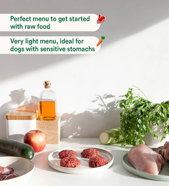 Wild Balance Complete BARF Menu Turkey Raw Food for Dogs 1KG