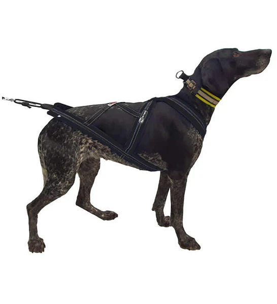 Zero DC Cross DC Canicross Pulling Harness