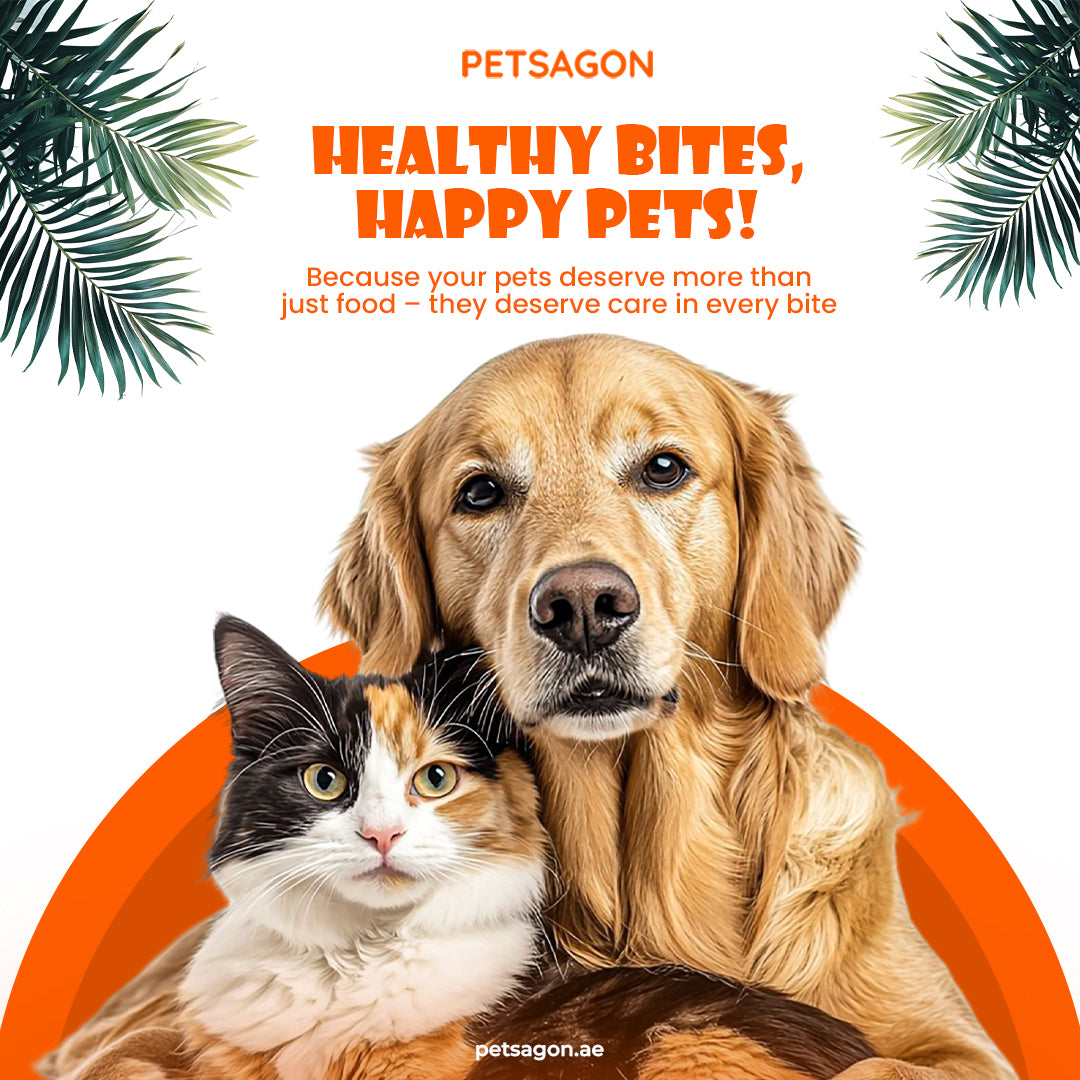 lookbook image shop_this_look_EcLGgQ