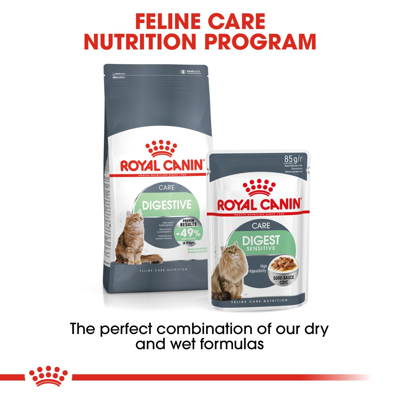 Royal Canin Digestive Care Adult Dry Cat Food